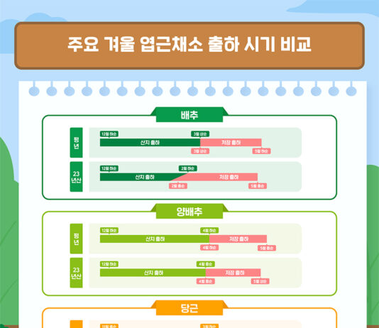 농식품부 “채소류 가격, 4월 중순 정점 찍고 하락세 전환”