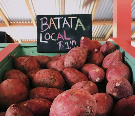 건강한 가을을 위한 운동과 식단 관리 전략 sweet potatoes