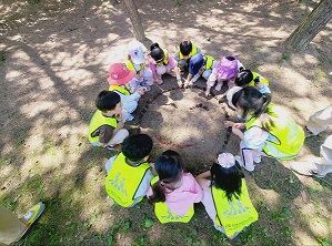 ‘자연을 체험하고 건강하게 자라요!’ 유아숲체험원, 2025년 정기 참여기관 모집