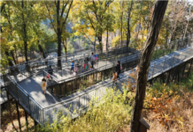 서울시, 유아차‧어르신도 즐기는 ‘무장애숲길’ 올해 6.84km 추가 조성