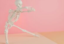 “앉아 있을 땐 괜찮은데 걸으면 허리가 아파요”… 걷기 유발 요통, 고관절의 경고입니다 a skeleton is dancing on a pink background