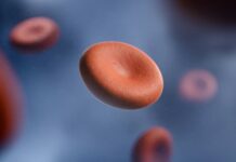 “낮에도 하품이 멈추질 않아요”… 혹시 ‘철분 부족’ 때문일 수 있습니다 a group of red blood cells in a vein