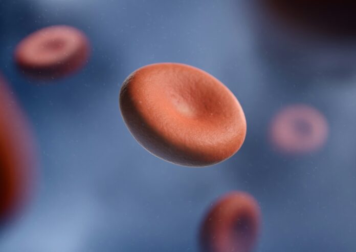 a group of red blood cells in a vein