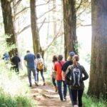 ‘나를 돌보는 삶’, 웰니스 문화가 이끄는 새로운 일상 people walking on dirt road between trees during daytime