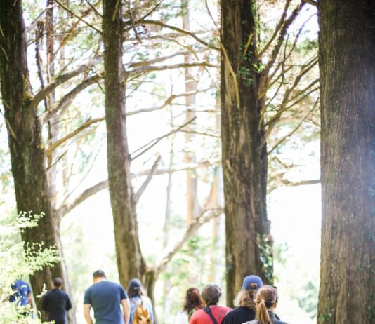 ‘나를 돌보는 삶’, 웰니스 문화가 이끄는 새로운 일상 people walking on dirt road between trees during daytime