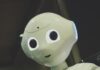일상 속으로 스며드는 AI 건강 관리… 생활습관 개선 돕는다 white robot toy holding black tablet